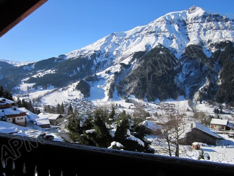 Les Lapons 2