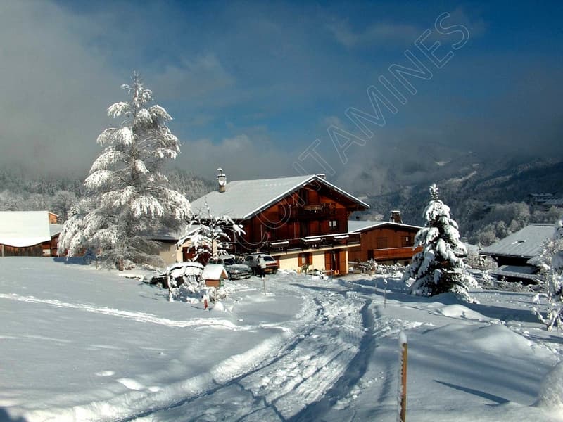 Le Joly